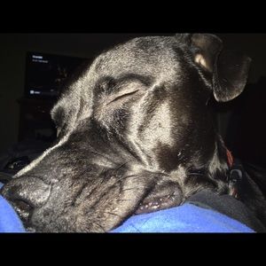 Meet your Posher, Jodie